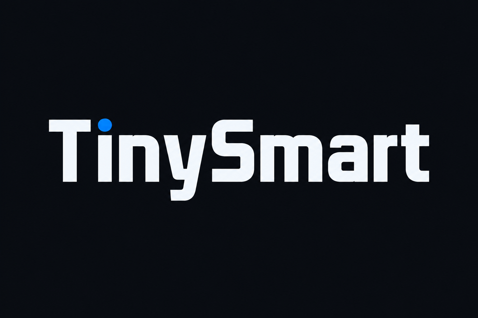 TinySmart